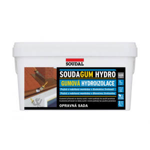 Kit di Riparazione Impermeabilizzante SOUDAL 'SOUDAGUM HYDRO KIT' 1 Kg - Grigio - Product Image 2