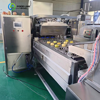 Elektronische Fruitreinigingsmachine Voor Fruitgroenten