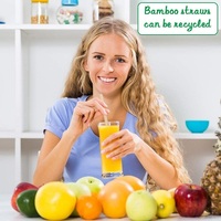 HEXIANG Pailles en bambou écologiques en gros, biodégradables, naturelles, réutilisables, pour cocktails, fêtes, bars, mariages