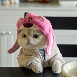 Chapeau pour animaux de compagnie en forme d'ours mignon, vêtements pour chat, chapeau d'hiver, fabricant de vêtements pour animaux de compagnie, design mignon, chapeau pour petit <span class=keywords><strong>chien</strong></span> et chat - Product Image 3