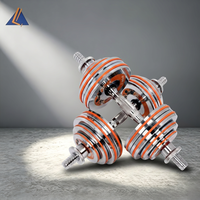 Ensemble haltères et barres en acier électroplaqué avec revêtement en caoutchouc pour entraînement de force en intérieur – Fournisseur d'usine
