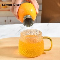 Presse-agrumes manuel en acier inoxydable 304 pour citrons et citrons verts, avec bec verseur