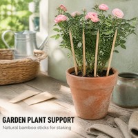 Bâtons de bambou Homebase de 7 pieds, vente au détail chez Canadian Tire, gros bâton de bambou, acheter en ligne, bâton de bambou pour plantes d'intérieur