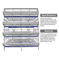 Offre Spéciale : Cages de batterie pour poulets de chair (10 000 oiseaux) pour élevages avicoles