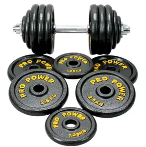 Accessories Supplier 5Kg 6Kg 10Kg 12Kg 40Kg 50Kg Steel Fitness Equipment Weight Lifting Dumbbells Adjustable Dumbbell Set