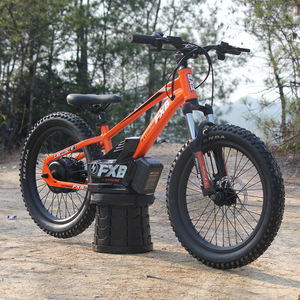 Scooter électrique pour enfants de <span class=keywords><strong>20</strong></span> <span class=keywords><strong>pouces</strong></span> 800W 5.0AH étanche lithium intégré 36V vélo d'équilibre de course électrique - Product Image 3