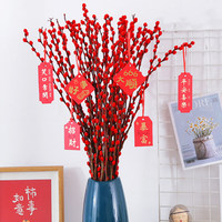 Branches de saule rouge séchées argentées pour culture hydroponique, décoration intérieure pour salon, Nouvel An lunaire