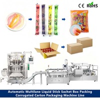 Ligne de machine d'emballage et de cartonnage entièrement automatique multi-pistes pour bâtonnets glacés, sucettes glacées, jus, boissons, gelées et sachets de liquides