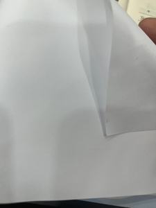 Vải dệt thoi mỏng 190gsm độ mờ tuyệt vời cho ứng dụng hệ thống khung và dấu hiệu mềm - Product Image 5