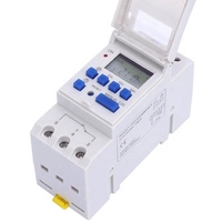 Din Rail AC 110V 220V pantalla LCD en tiempo real a Hora Minuto interruptor de temporizador digital programable con 28 ajustes de encendido/apagado