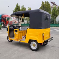DUDU Tricycle électrique à carrosserie ouverte, bus touristique, voiture à 3 roues, vente à chaud