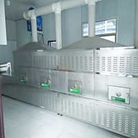Certificat CE stérilisateur micro-ondes bonne qualité tunnel industriel séchoir à micro-ondes