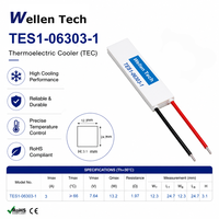 Pompes à chaleur TEC personnalisées TES1-06303 12,3x24,7x3,1 mm 7,64 V 13,2 W pour la stabilisation de la température des analyseurs biochimiques