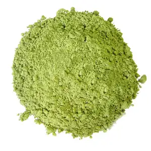 Certified Organic Matcha Powder China Distributor Matcha Green Tea Powder