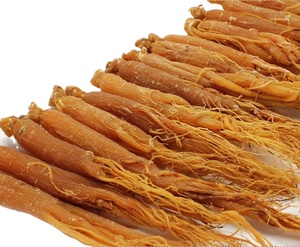 Polvere di estratto di radice di Ginseng rosso Ginseng coreano con ginsenosidi da 10 ~ 80%, da 4:1 a 20:1 - Product Image 3