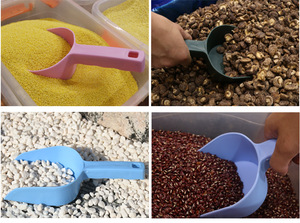 Attrezzi da Giardinaggio per Fiori e Ortaggi, Paletta per Dissodare il Terreno, Paletta per Piante <span class=keywords><strong>Succulente</strong></span>, Attrezzi Manuali per Scavare e Trapiantare - Product Image 4