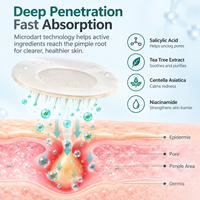 Patchs coréens hydrocolloïdes à micro-aiguilles solubles à l'acide salicylique anti-imperfections et anti-acné, personnalisables OEM