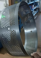 Maille de poinçonnage en acier inoxydable maille perforée de qualité alimentaire