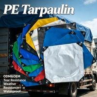 Bâche en polyéthylène imperméable de qualité industrielle pour la protection des conteneurs, des bâtiments et des entrepôts – Fournisseur direct usine