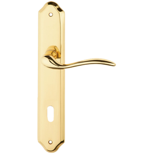 'MINORCA' <b>HANDLE</b> WITH PLATE Polished gold - Product Image 1