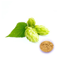 Pasokan Pabrik Bubuk Ekstrak Bunga Hop Kelas Makanan 1kg Ekstrak Herbal Bersertifikat Halal/Kosher Tersedia dalam Kemasan Drum/Kaleng