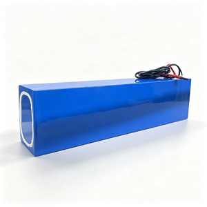 Custom EU Interface Charging Connector <b>24v</b>/48v Lithium Lifepo4 Bateria De litio <b>Battery</b> Pack for Portable Testing Equipment - Product Image 6