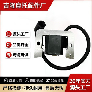 Bobine d'allumage Jilong 3487 pour moteur monocylindre Kohler, pièce de rechange - Product Image 4