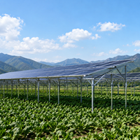 Structure de ferme solaire en aluminium sur mesure, inclinaison 10-45°, charge éolienne 60 m/s, durée de vie 25 ans, pour système de montage au sol