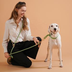 Conjunto de Correa y <span class=keywords><strong>Collar</strong></span> para Perro de Alta Calidad, Diseño Creativo, Cinta de Nailon de Lujo, Anti-Tirones, Ajustable, para Entrenamiento y Paseo, para Cachorros Pequeños, con Cintas Decorativas - Product Image 5