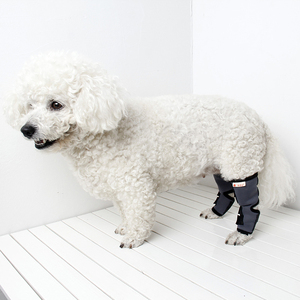 Envolturas de articulación de apoyo trasero canino protege el soporte trasero de la pierna para perros - Product Image 3