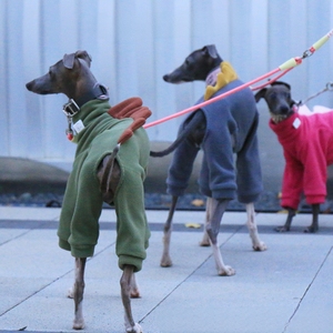 Sudadera con Capucha para Perro, Diseño Geométrico Simple con Estampado de Dinosaurio, Cuello Alto, Cálida, de Poliéster Grueso para Invierno, para Whippet y <span class=keywords><strong>Galgo</strong></span> Italiano - Product Image 4