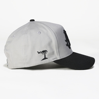 Gorra de Béisbol Personalizada al por Mayor del Fabricante 2024, Estructura de 5/6 Paneles, Gorra de Béisbol con Logotipo Bordado Personalizado