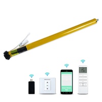 Moteur de store tubulaire électrique intelligent Zigbee Zebra, rechargeable, télécommande, Wifi, compatible Alexa et Tuya pour stores