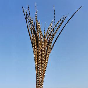 Plumas <span class=keywords><strong>de</strong></span> Cola <span class=keywords><strong>de</strong></span> Faisán Reeves <span class=keywords><strong>de</strong></span> 130 cm, <span class=keywords><strong>Venta</strong></span> al por Mayor, Plumas Crudas con Patrón, Plumas <span class=keywords><strong>de</strong></span> Faisán - Product Image 1