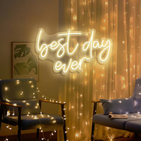 Enseigne lumineuse LED « Meilleur jour de ma vie » pour mariage, anniversaire, fête, Noël, décoration murale pour chambre, salon, bar, club