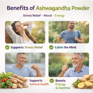 ผงอัชวกันดา OEM ผลิตจากรากตามหลักการดั้งเดิม เพื่อสนับสนุนสมดุลประจำวัน ความมีชีวิตชีวา และสุขภาพทั่วไป - Product Image 4