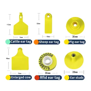 Luoyang Delake Factory Supply Animal Pig Sheep Cattle Cow Earing Tags Goat Ear Tags Without Number