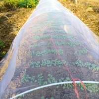 40-50 Mesh UV-bestendig HDPE ademend anti-insectennet, verdikt kasnet tegen ongedierte & vogels voor de groenteteelt