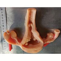 Módulo Biomimético 3D KyrenMed para Práctica de Sutura y Desprendimiento Laparoscópico Ginecológico, Modelo de Silicona Uterina Simulada