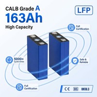 خلية بطارية CALB 163Ah LiFePO4 بجهد 3.2 فولت، درجة A، 5000 دورة، 178 واط ساعة/كجم للمركبات الكهربائية منخفضة السرعة (LSV) والمركبات الكهربائية رباعية العجلات للمناطق السكنية