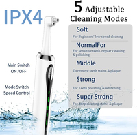 Vente en gros de 3 pâtes à polir 5 têtes de brosse personnalisées OEM Kit de blanchiment des dents rechargeable pour le blanchiment et le nettoyage quotidiens des dents