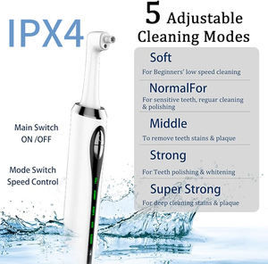 Commercio all'ingrosso personalizzato Oem 3 paste lucidanti 5 testine ricaricabili <span class=keywords><strong>per</strong></span> lo sbiancamento dei denti <span class=keywords><strong>per</strong></span> lo sbiancamento quotidiano dei denti e la pulizia - Product Image 4