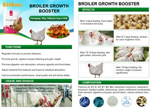 Aditivo de crescimento para aves alimentadoras de aves, aditivo para ganho de peso, alimentação rápida, mineral - Product Image 3