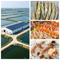 Installation de stockage frigorifique solaire de grande capacité pour la conservation de la viande, des fruits de mer, des produits laitiers et des produits frais