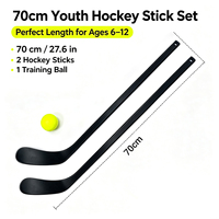 Jeu de bâtons ABS EVA pour le sport d'intérieur Bâtons de hockey sur glace et sur gazon de style enfant pour le hockey en salle