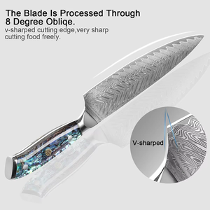 طقم سكاكين مطبخ فاخر من الفولاذ الدمشقي 67 طبقة سكاكين مقبض Abalone Santoku <span class=keywords><strong>Boning</strong></span> للطهاة المحترفين - Product Image 4