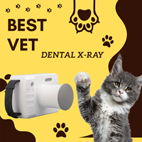Mesin Film Gigi Portabel Veteriner Mesin X-ray Oral Sensor Alat Pemotretan Gigi Mesin X-ray Gigi Portabel
