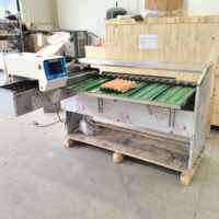 Automatische Eieren Sorteermachine 15000 Eieren/uur Kippeneieren Sorteermachine Sorteer- en Verpakkingsmachine