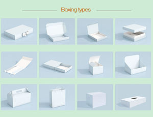 Sinh Học Phân Hủy Biểu Tượng Tùy Chỉnh Tự Động Khóa Dưới Dây Kéo Vận Chuyển Hộp Zip Tự Động Đóng Cửa Ziplock Hộp Các Tông Sóng - Product Image 5