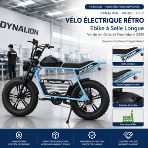 Vélo Électrique Rétro Ebike avec Siège Long, Porte-Bagages Arrière et Batterie Amovible pour Grossistes et Fournisseurs OEM - Product Image 1